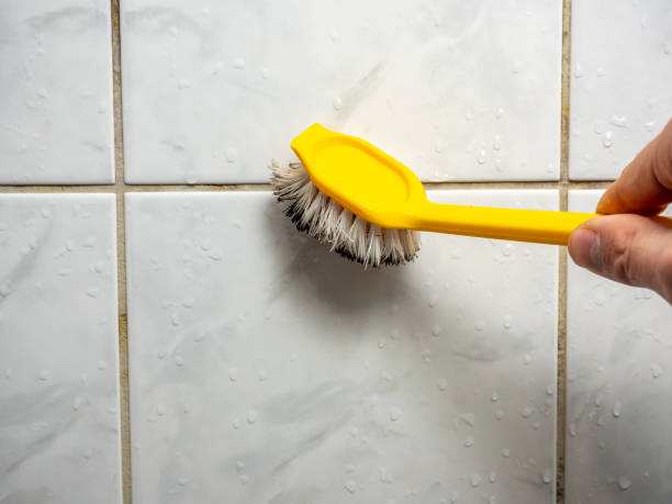 Best Mold Cleaning Services  in Crosspointe, VA