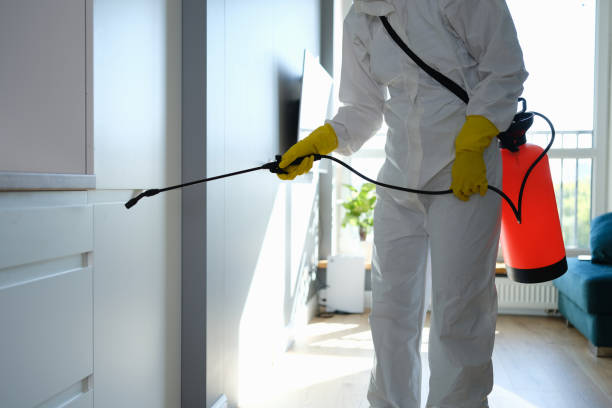 Best Mold Removal and Inspection  in Crosspointe, VA